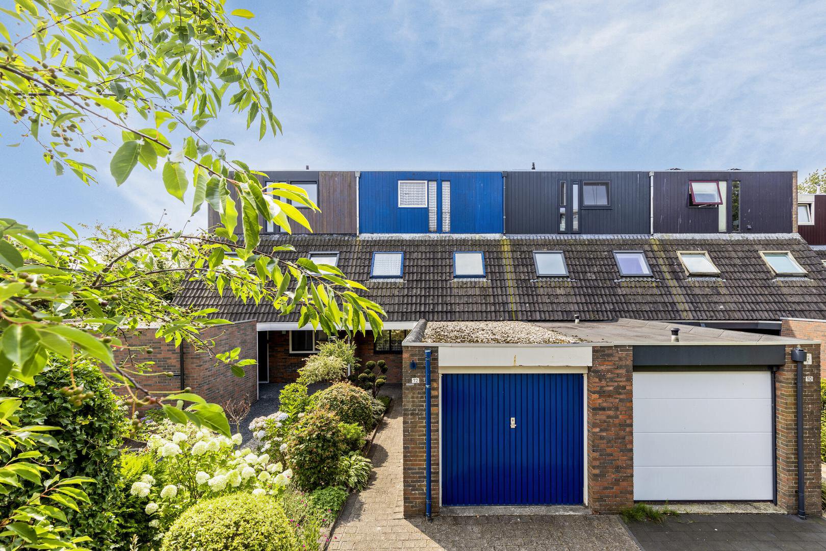 Mannagras 12 LEEUWARDEN foto-1