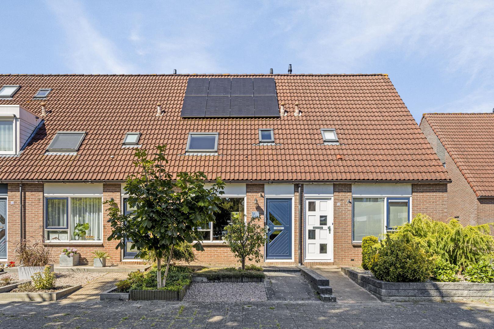 Canterstate 56 LEEUWARDEN foto-1