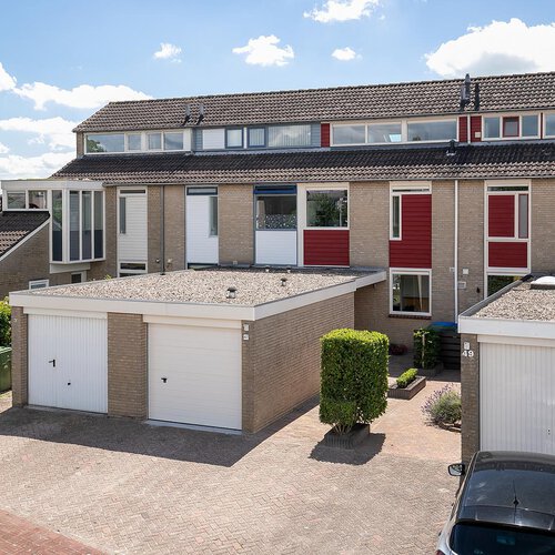 Zenegroen 47