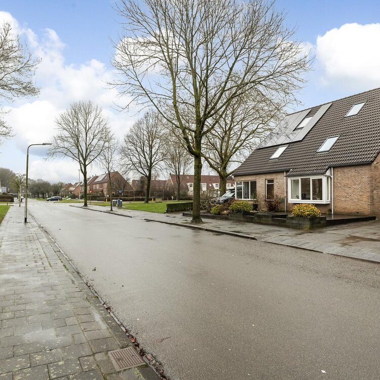 Gratingastins 3 LEEUWARDEN foto-4