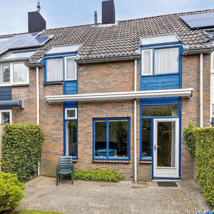 Mannagras 12 LEEUWARDEN foto-2