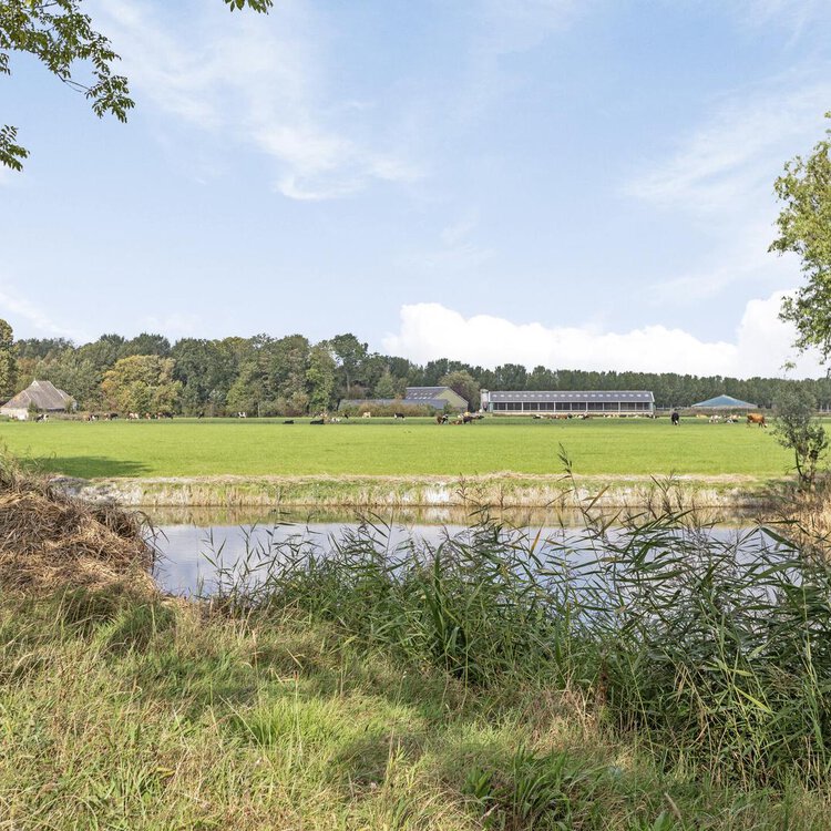 Skries 19 G DRONRYP foto-2