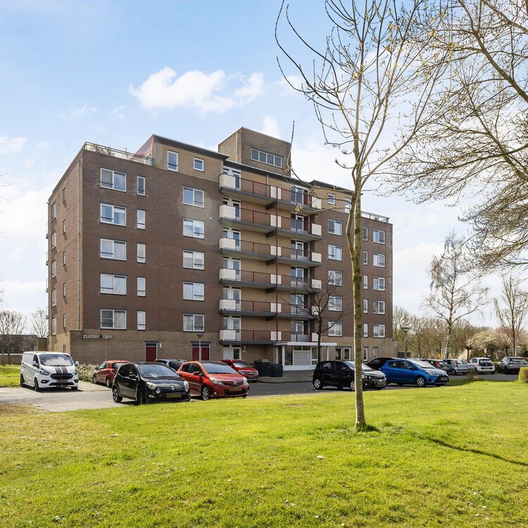 Smeetsmastins 14 LEEUWARDEN foto-4