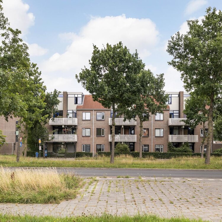 Roptastate 72 LEEUWARDEN foto-4