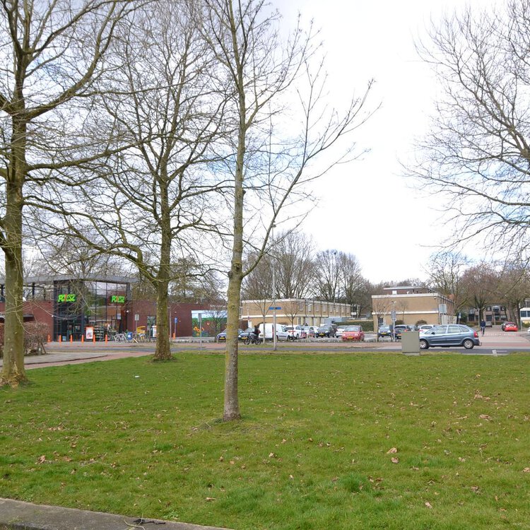 Lijsterbesstraat 18 c LEEUWARDEN foto-2