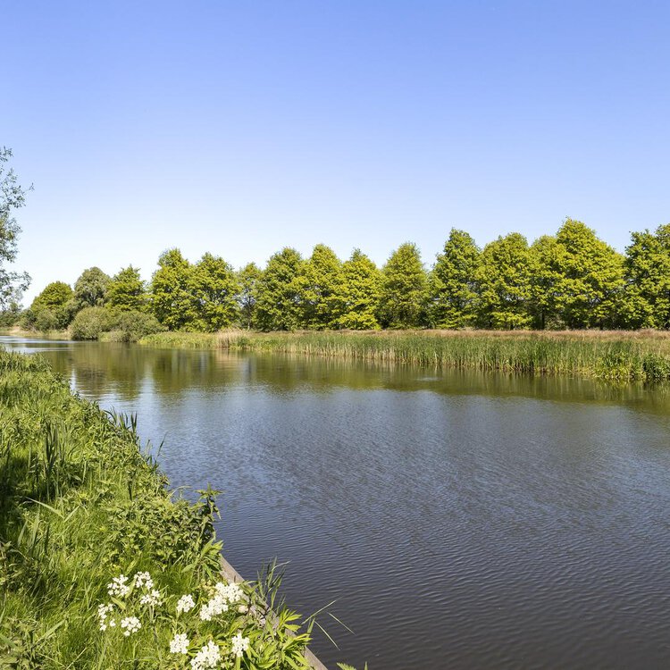 Scheltemastate 48 LEEUWARDEN foto-2