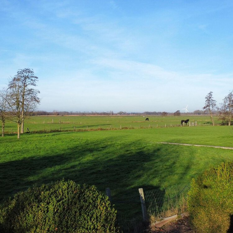 Miedloane 1 DE WESTEREEN foto-5