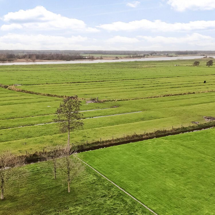 Miedloane 1 DE WESTEREEN foto-3