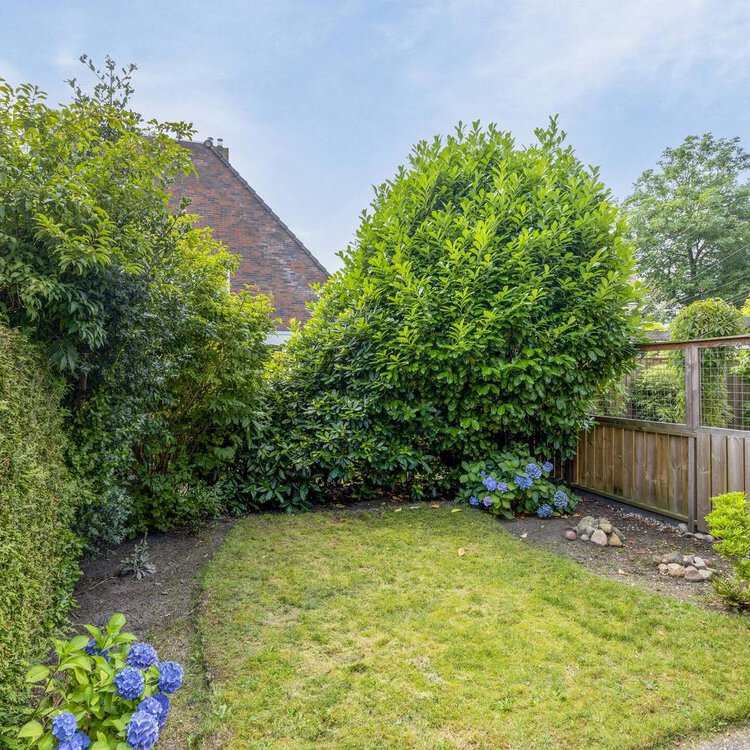 Mannagras 12 LEEUWARDEN foto-3