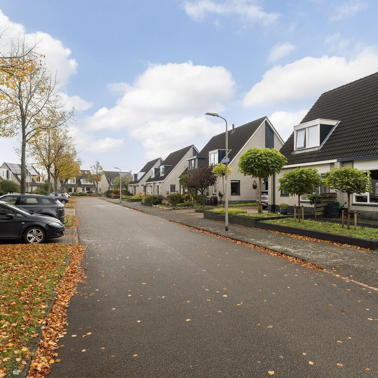 Keimpemastins 16 LEEUWARDEN foto-5