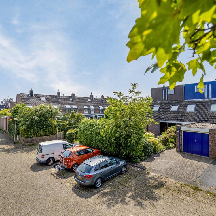 Mannagras 12 LEEUWARDEN foto-5