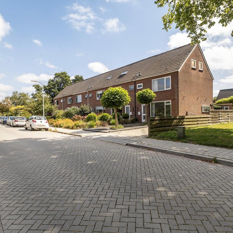 Sixmastins 2 STIENS foto-5