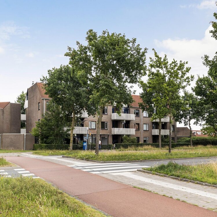 Roptastate 72 LEEUWARDEN foto-3