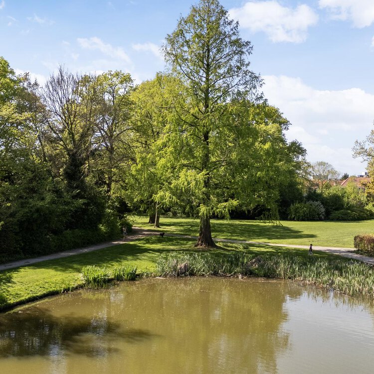 Schapestraat 76 1 LEEUWARDEN foto-3