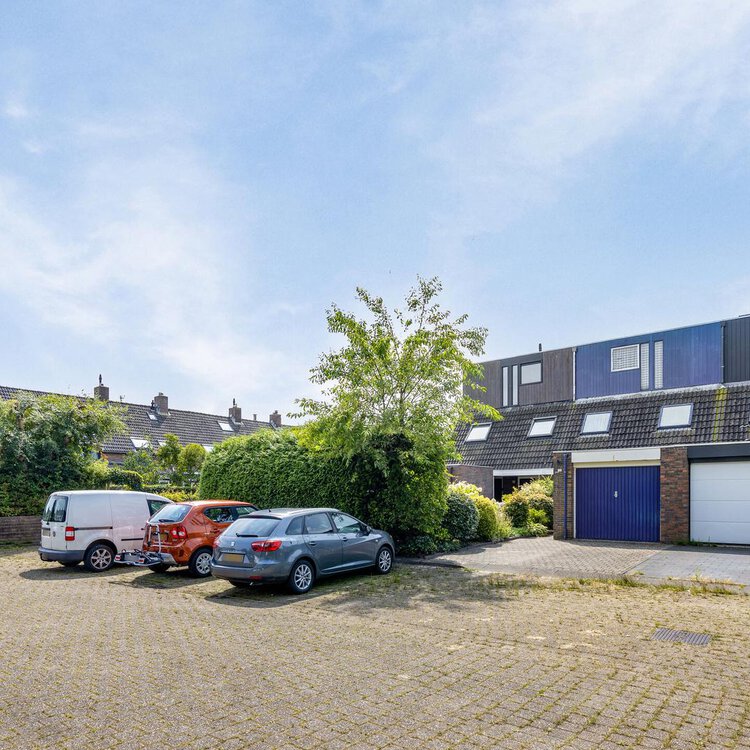 Mannagras 12 LEEUWARDEN foto-4