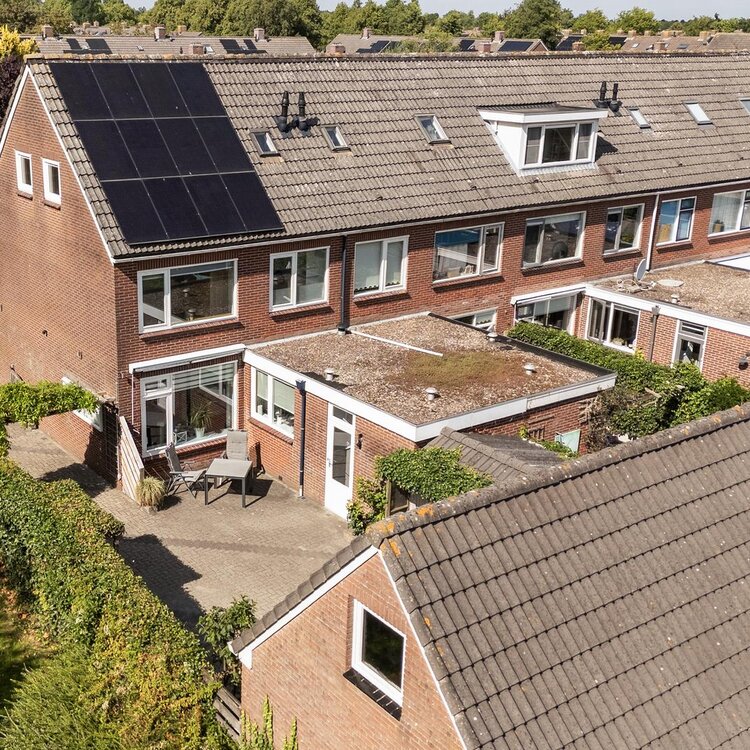 Sixmastins 2 STIENS foto-3