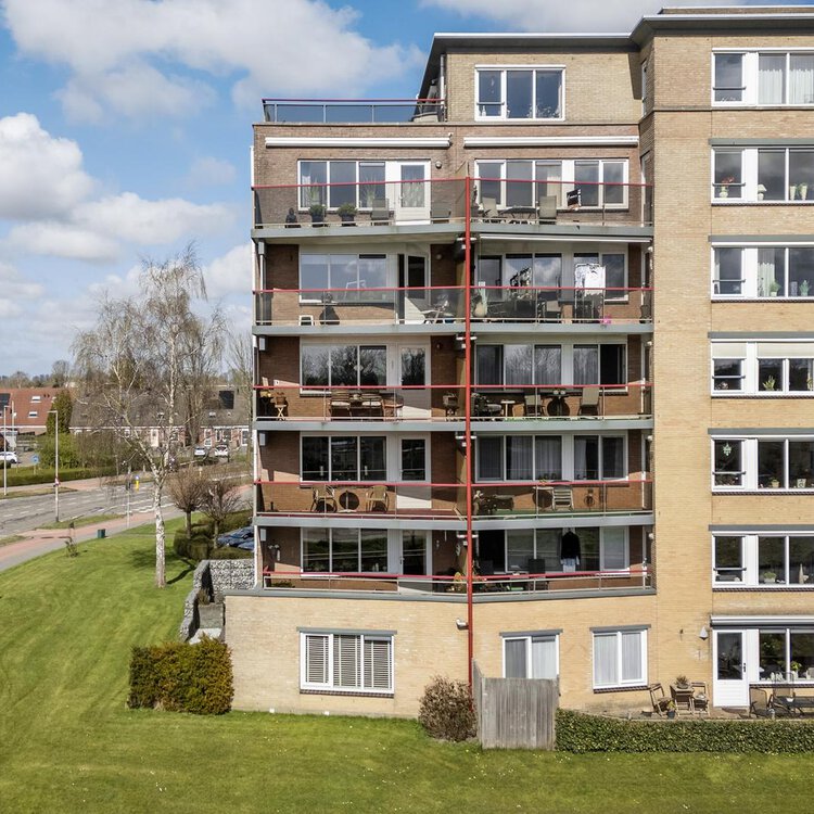 Smeetsmastins 14 LEEUWARDEN foto-3