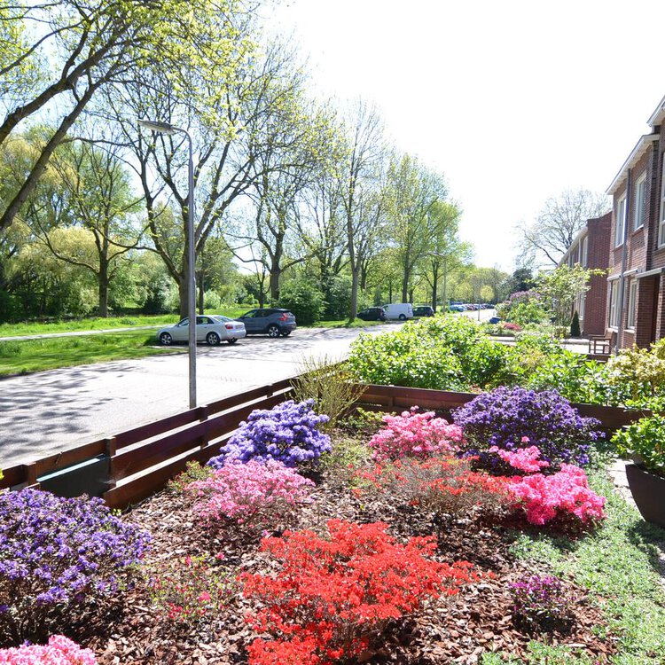 Schieringerweg 91 b LEEUWARDEN foto-2